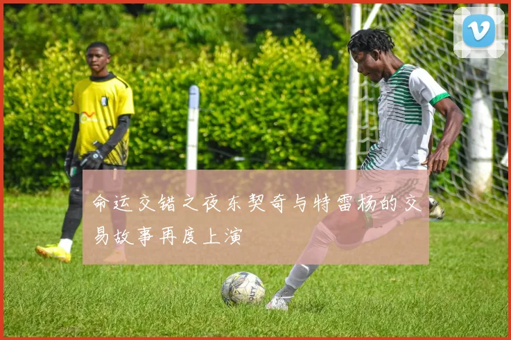 命运交错之夜东契奇与特雷杨的交易故事再度上演