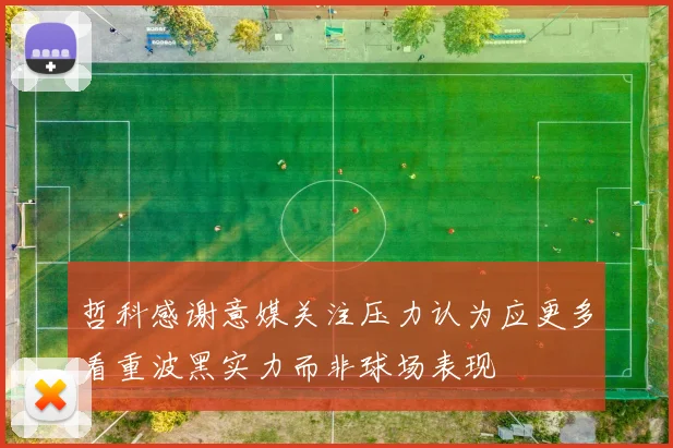 哲科感谢意媒关注压力认为应更多看重波黑实力而非球场表现